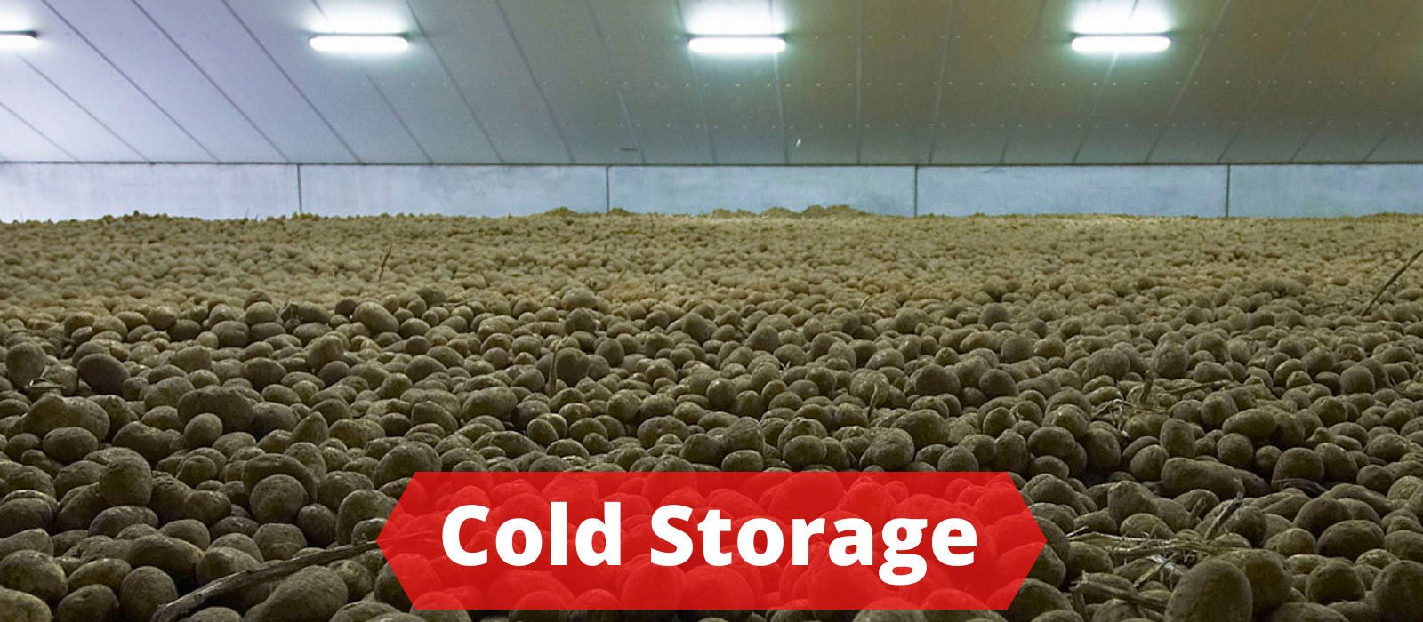 cold-storage